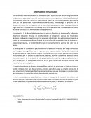 Discusión de reslutados cámara térmica