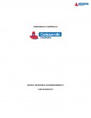 Plan de negocio . Negocios innovadores