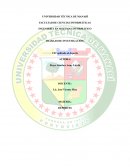 TIC aplicado al deporte