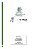 Caso empresa The Owl Real State