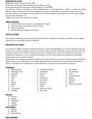 Los cuentos de "Magia"