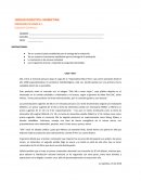 Marketing Caso “Silk”