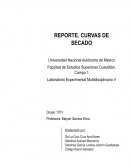 Reporte Curvas de Secado