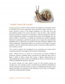 Unidad: Caracol de mi jardín