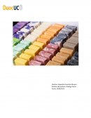 Emprendimiento funcional y sustentable de los jabones naturales avace de platas u flores aromáticas