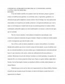 Herramientas biológicas y fotoestimulaciones la otra cara de imgienira