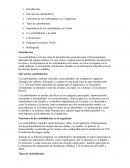 ¿Qué son los carbohidratos?