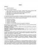 Organización Industrial y territorio