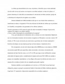 ¿Cómo se mide el desempeño de sostenibilidad en la empresa?