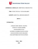 Fichas textual y fichas resumen