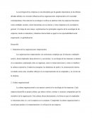 La sociología de las empresas