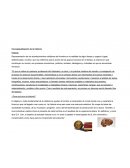 Conceptualización de la historia