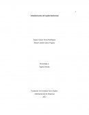 Administración del capital intelectual