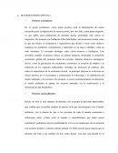 Investigaicon de mercado en latinoamerica