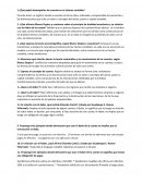 ¿Qué papel desempeñan las cuentas en el sistema contable?