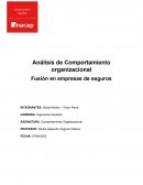 Análisis de Comportamiento organizacional. Fusión en empresas de seguros