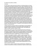 El cuidado de las plantas y animales