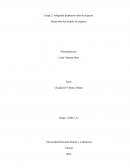 Etapa 2- infografía propuesta valor de negocio