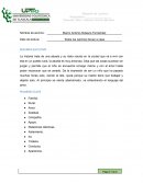 Todos los caminos llevan a casa