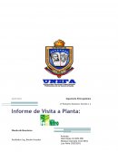 Informe de Visita a Planta: Fertinitro