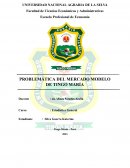 Problemática del mercado modelo de Tingo María