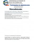 Las funciones y las características de la administración