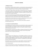 Proyecto de campaña