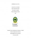 Responsabilidad Social en las Empresas