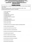 Práctica profesionalizante 2