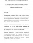 Día de la Aviación de Combate