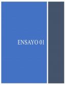 Elogio a la Simplicidad y Resiliencia