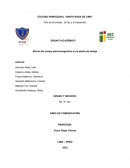 Efecto del campo electromagnético en la planta de lenteja