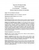 Estudio de lugar de trabajo