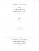 Identificar Sistemas de Producción