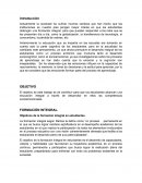 Formación integral en estudiantes