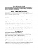 Bacterias y su origen