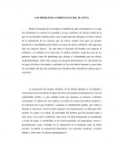 Los problemas ambientales del planeta