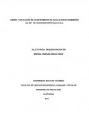 Diseño y aplicación de un instrumento de evaluación de desempeño de 360º en Recursos Especiales S.A.S.