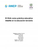 El DUA como práctica educativa inserto en la educación terciaria