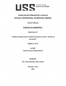 Rabajo individual sobre el sistema de salud en el Perú - Niveles de prevención