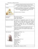 Ficha técnica - Infusión de Lúcuma