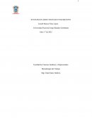 Sustancias adictivas que enloquecen