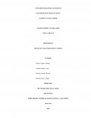 Comercio Internacional y Aduanas