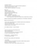 Notas de Cadena de Suministro