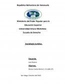 Sociología Jurídica. Sociedad y Derecho