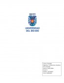 Filosofia: El arte de la duda