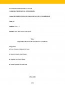 Esquema de plan de salud en la familia