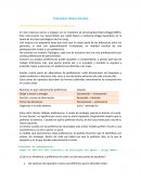 Indicador Myers-Briggs