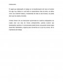 El papel del trabajo en la transformación del mono a hombre