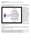 Tecnología verde en las unidades informáticas